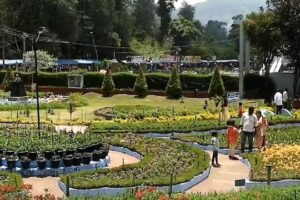 WhatsApp Image 2024-07-10 at 15.34.42