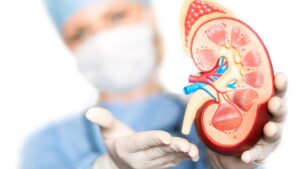 WhatsApp Image 2024-07-10 at 16.13.54