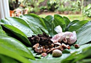 WhatsApp Image 2024-07-10 at 16.16.57