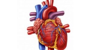 WhatsApp Image 2024-07-10 at 16.20.06