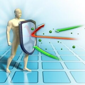 WhatsApp Image 2024-07-10 at 16.22.04 (1)