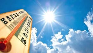 WhatsApp Image 2024-07-11 at 10.54.26