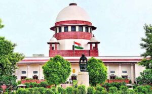 WhatsApp Image 2024-07-11 at 11.04.52