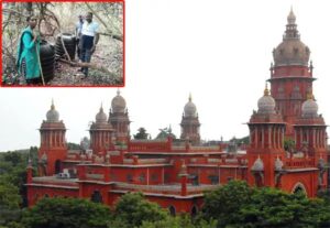 WhatsApp Image 2024-07-11 at 12.05.09