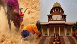 WhatsApp Image 2024-07-11 at 12.18.51