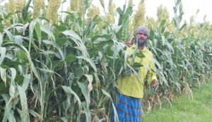 WhatsApp Image 2024-07-11 at 13.04.21