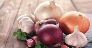 WhatsApp Image 2024-07-11 at 14.12.33