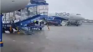 WhatsApp Image 2024-07-13 at 11.40.54