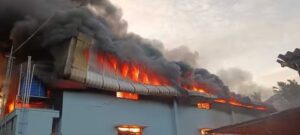 WhatsApp Image 2024-07-13 at 11.44.05