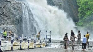 WhatsApp Image 2024-07-13 at 11.47.17