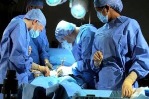 WhatsApp Image 2024-07-13 at 11.52.35