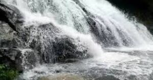 WhatsApp Image 2024-07-15 at 1.09.34 PM