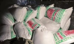 WhatsApp Image 2024-07-15 at 10.58.51 AM