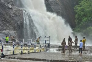 WhatsApp Image 2024-07-15 at 11.10.13 AM