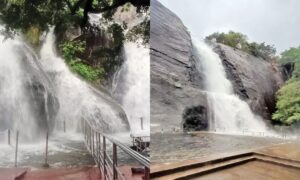 WhatsApp Image 2024-07-16 at 3.15.37 PM