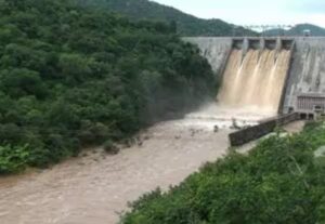 WhatsApp Image 2024-07-17 at 1.01.32 PM