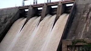 WhatsApp Image 2024-07-17 at 11.53.12 AM