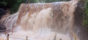 WhatsApp Image 2024-07-17 at 11.56.47 AM