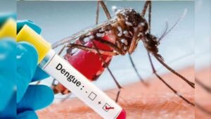 WhatsApp Image 2024-07-18 at 12.06.32 PM