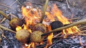 WhatsApp Image 2024-07-18 at 2.04.45 PM