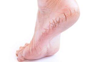 WhatsApp Image 2024-07-19 at 12.53.31 PM