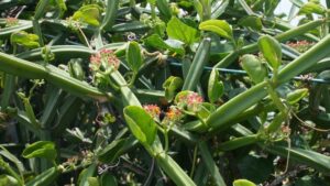 WhatsApp Image 2024-07-19 at 12.59.51 PM