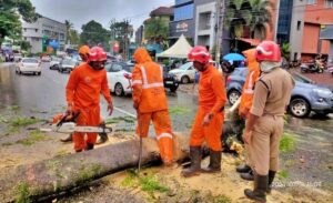 WhatsApp Image 2024-07-20 at 10.13.24 AM