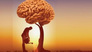 WhatsApp Image 2024-07-22 at 11.36.40 AM