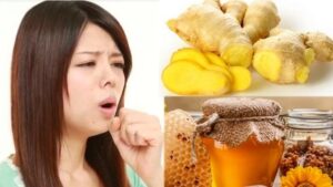 WhatsApp Image 2024-07-23 at 12.52.35 PM