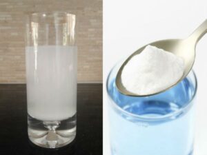 WhatsApp Image 2024-07-23 at 12.55.42 PM