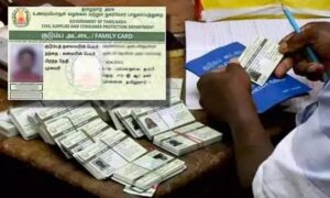 WhatsApp Image 2024-07-24 at 1.01.28 PM