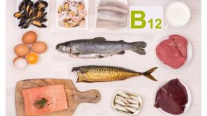 WhatsApp Image 2024-07-25 at 1.10.20 PM