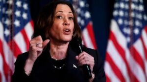 WhatsApp Image 2024-07-25 at 11.49.06 AM