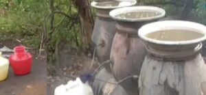 WhatsApp Image 2024-07-25 at 12.23.16 PM