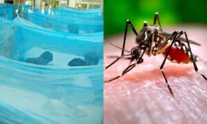 WhatsApp Image 2024-07-25 at 12.31.27 PM