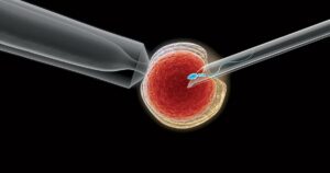 WhatsApp Image 2024-07-26 at 1.12.59 PM