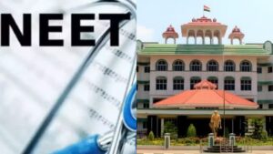 WhatsApp Image 2024-07-26 at 11.14.29 AM