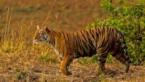 WhatsApp Image 2024-07-26 at 11.28.37 AM