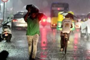 WhatsApp Image 2024-07-26 at 12.00.54 PM