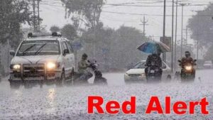 WhatsApp Image 2024-07-26 at 12.53.55 PM