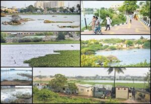 WhatsApp Image 2024-07-26 at 2.42.20 PM (1)