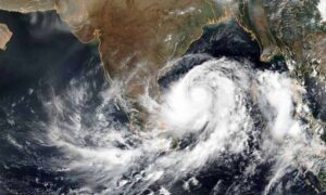 WhatsApp Image 2024-07-26 at 3.22.50 PM