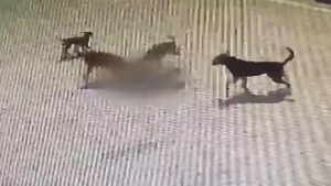 WhatsApp Image 2024-07-27 at 1.02.27 PM