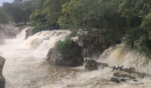 WhatsApp Image 2024-07-27 at 11.59.16 AM