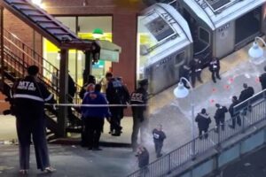 WhatsApp Image 2024-07-29 at 11.03.21 AM