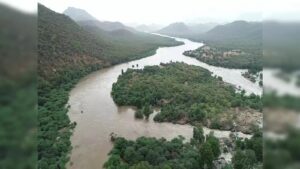 WhatsApp Image 2024-07-29 at 11.18.55 AM