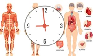 WhatsApp Image 2024-07-29 at 5.55.50 AM