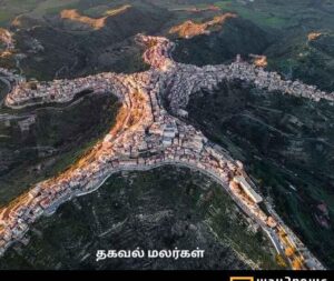 WhatsApp Image 2024-07-29 at 5.57.59 AM