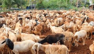 WhatsApp Image 2024-07-30 at 10.58.11 AM