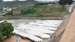 WhatsApp Image 2024-07-30 at 12.09.10 PM